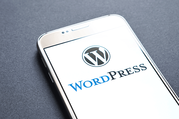 Wordpress Developer in Singapore