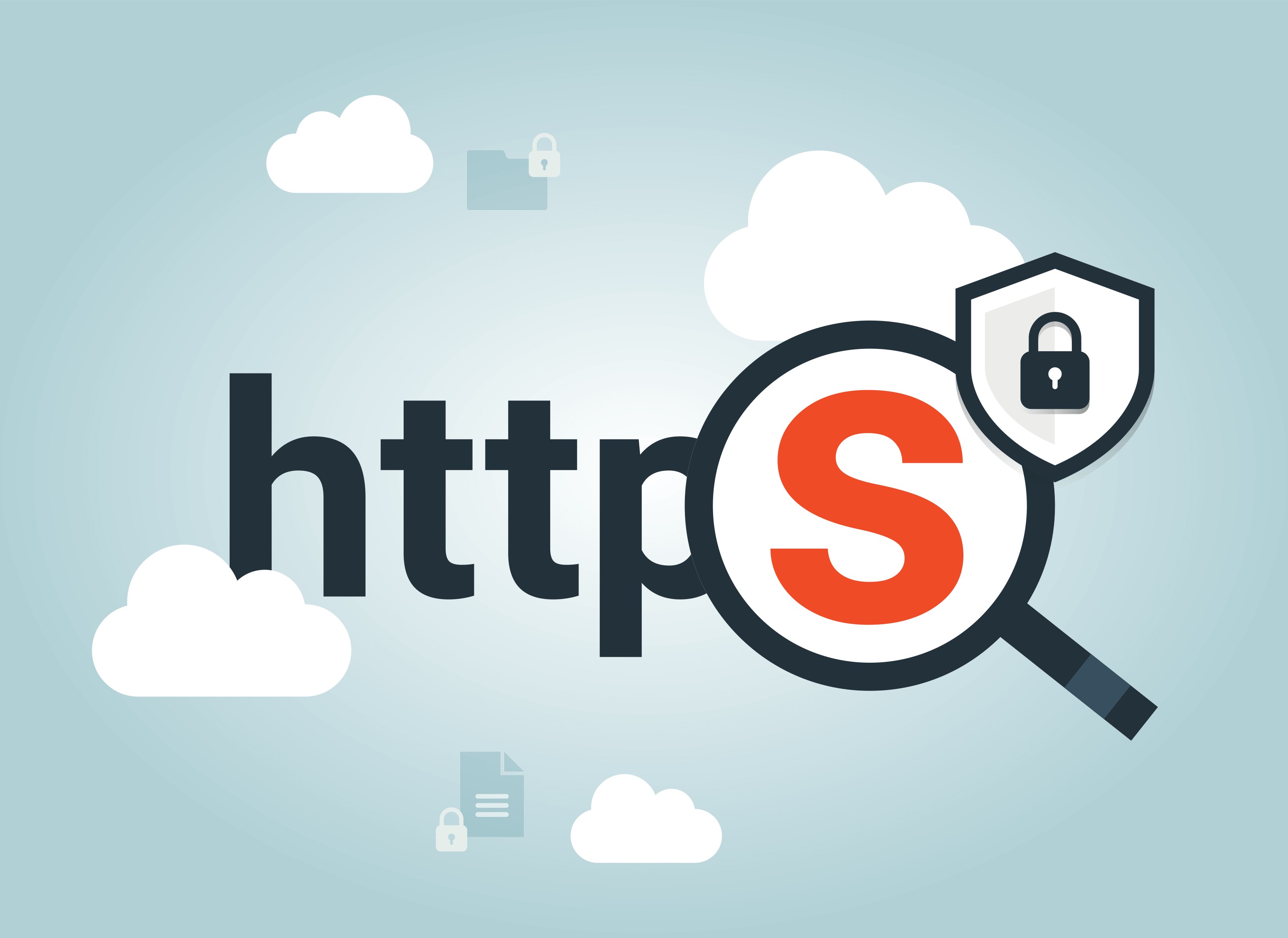 SSL - A Catalyst For Higher SEO Rankings